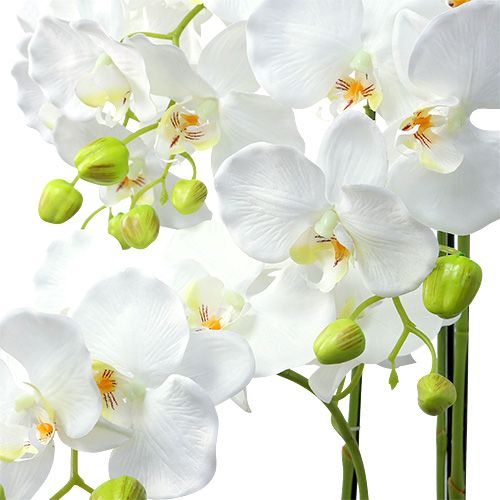 Floristik24 Orchidée blanche avec globe 110cm