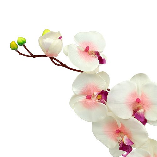 Article Orchidée à 2 branches 60cm blanc-rose