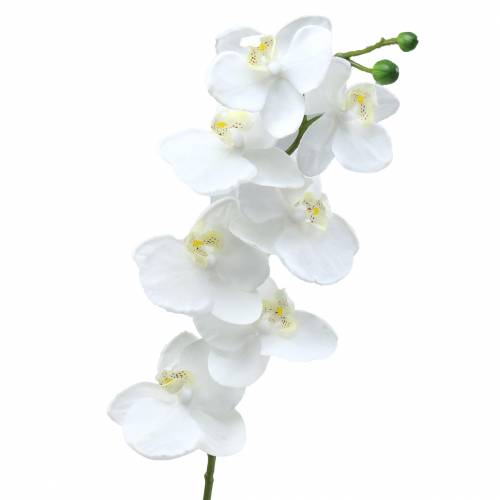 Floristik24 Orchidée artificielle fleur artificielle blanche Ø6,5-8cm 77cm