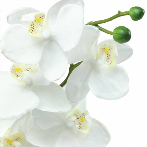 Article Orchidée artificielle fleur artificielle blanche Ø6,5-8cm 77cm
