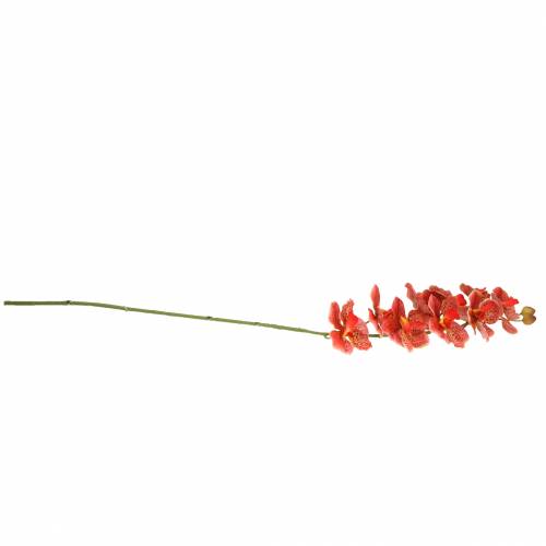 Floristik24 Orchidée artificielle Phaelaenopsis Rouge, Orange H81cm