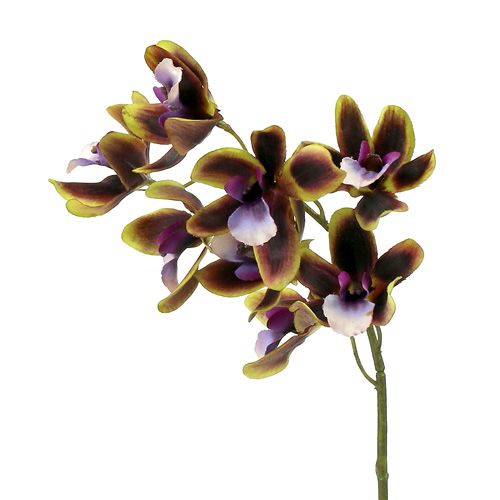 Floristik24 Orchidée Cymbidium Vert, Violet L38cm 4pcs