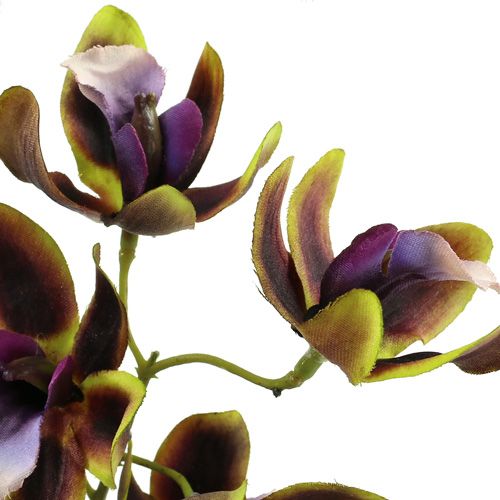 Article Orchidée Cymbidium Vert, Violet L38cm 4pcs