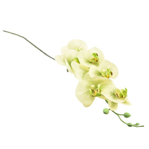 Article Orchidée Artificielle Jaune Vert Phalaenopsis L83cm