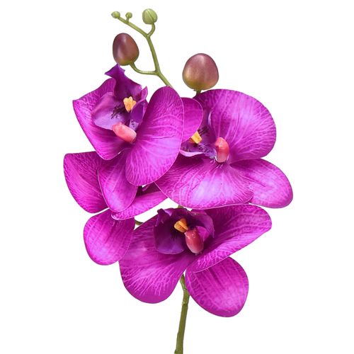 Orchidée Phalaenopsis Artificielle 4 fleurs Fuchsia 72cm
