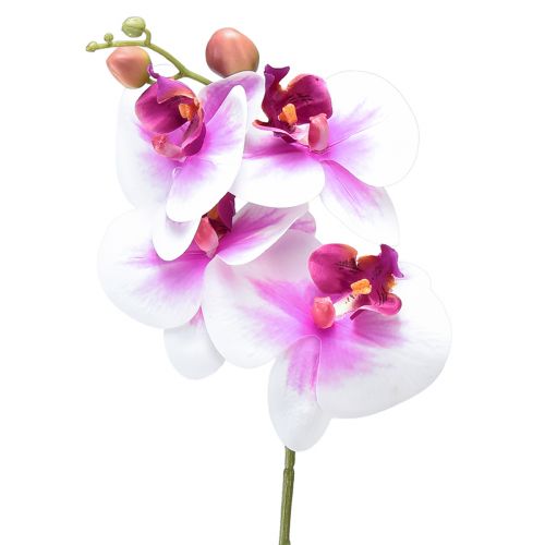 Orchidée Phalaenopsis Artificielle 4 Fleurs Blanc Rose 72cm