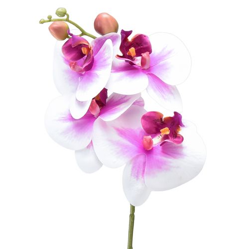 Floristik24 Orchidée Phalaenopsis Artificielle 4 Fleurs Blanc Rose 72cm