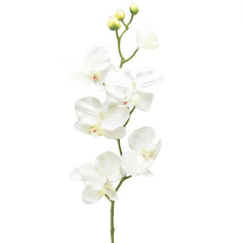 Orchidée Phalaenopsis artificielle 6 fleurs blanc crème 70cm