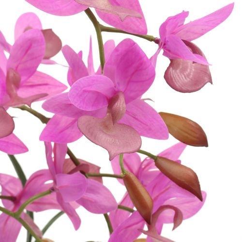 Article Orchidée en pot violet H55cm