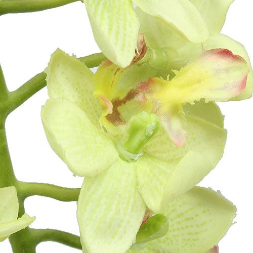 Article Orchidée 56cm vert clair