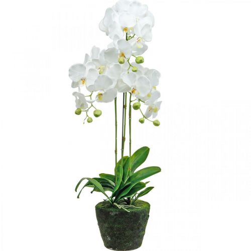 Article Orchidées artificielles pour le pot blanc 80cm