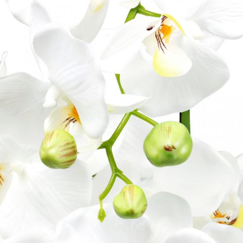 Article Orchidées artificielles pour le pot blanc 80cm