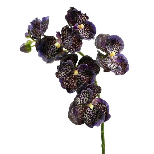 Floristik24 Orchidée Vanda violette artificielle L 44cm