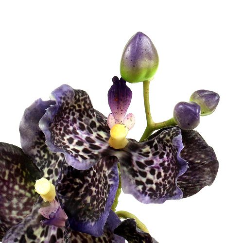 Floristik24.fr Orchidée Vanda violette artificielle L 44cm - acheter pas  cher en ligne