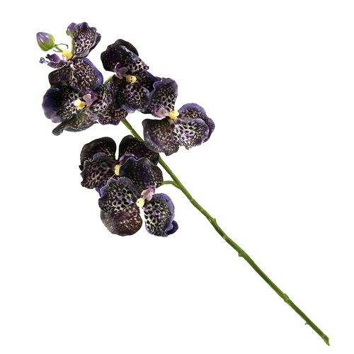 Floristik24 Orchidée Vanda violette artificielle L 44cm