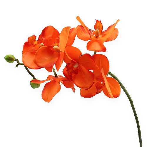 Floristik24 Branche d'orchidée orange 61cm