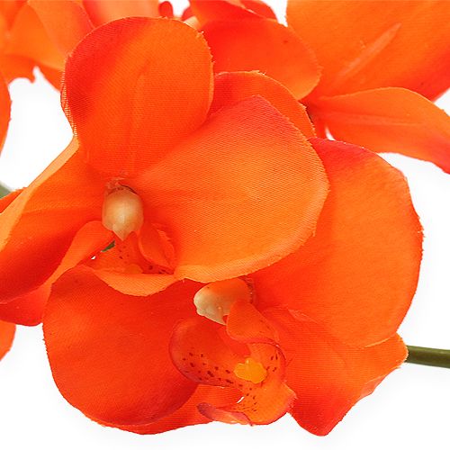 Floristik24 Branche d'orchidée orange 61cm