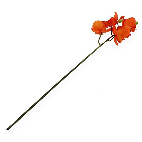 Floristik24 Branche d'orchidée orange 61cm