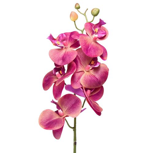 Floristik24 Orchidée artificielle Phalaenopsis Orchidée Fuchsia 78cm