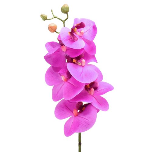 Orchidée artificielle Phalaenopsis Orchidée Rose 78cm