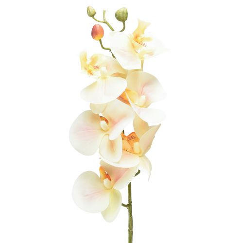 Article Orchidée Artificielle Crème Orange Phalaenopsis 78cm