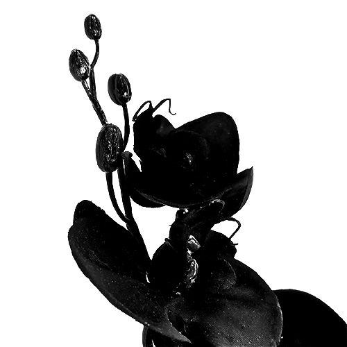 Article Orchidée noire L 80 cm