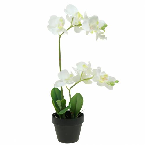 Floristik24 Orchidées blanches en pot plante artificielle H35cm