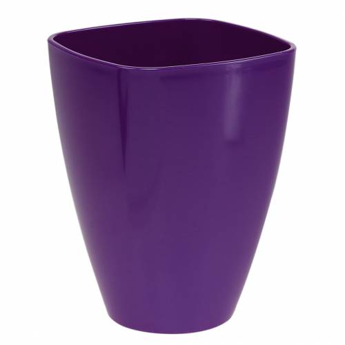 Pot à orchidées, brillant, Ø12,5 cm, violet acheter | Floristik24.fr