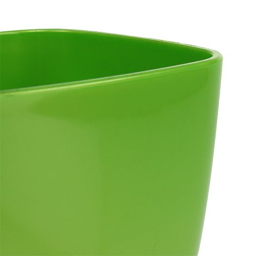 Article Pot à orchidées brillant Ø12,5cm citron vert 1 pce