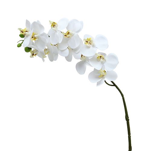 Fleur dorchid/ée support//pied//b/âton//tige//support/  55/ cm / Lot de 3