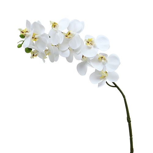 Floristik24 Branche d’orchidée blanche L 58 cm