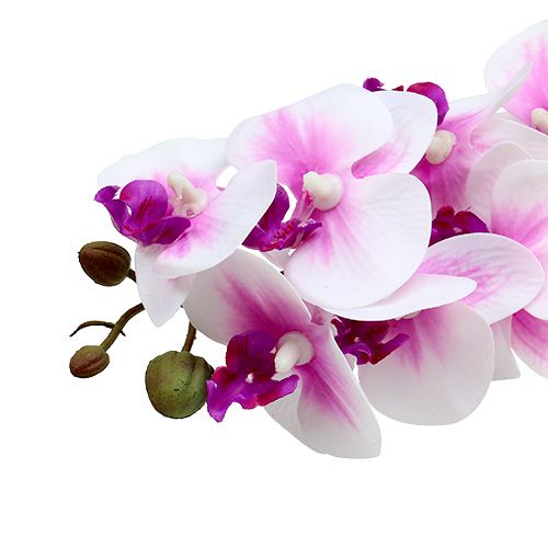 Floristik24 Branche d'orchidée blanc-rose L58cm