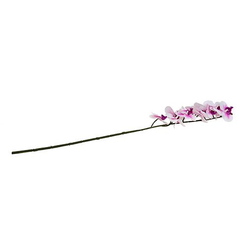 Floristik24 Branche d'orchidée blanc-rose L58cm