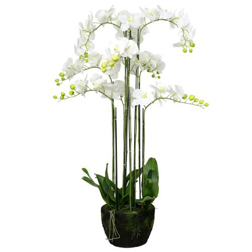 Orchidée blanche sur boule de 118cm