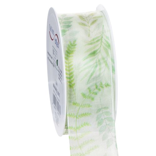 Floristik24 Ruban d'organza, ruban de mousseline, vert à motifs de feuilles, 40 mm de large, 15 m de long