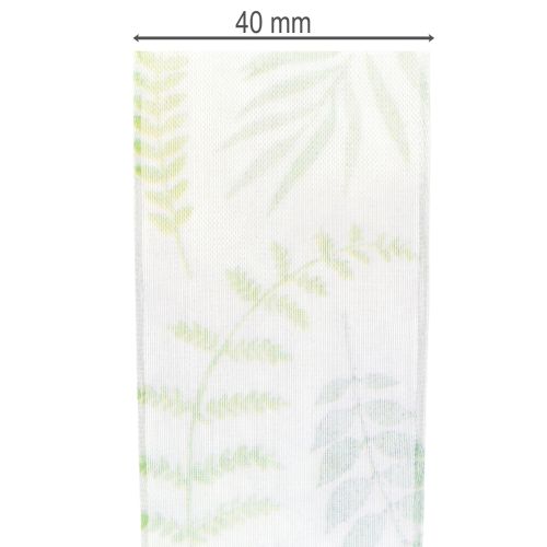 Article Ruban d'organza, ruban de mousseline, vert à motifs de feuilles, 40 mm de large, 15 m de long