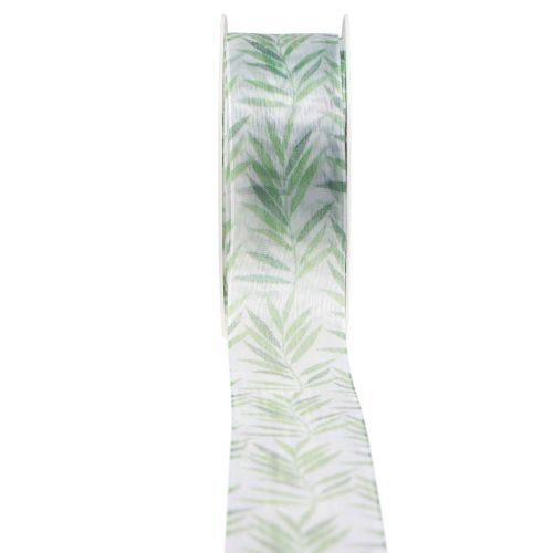 Floristik24 Ruban organza ruban mousseline ruban plantes vertes 40mm 15m