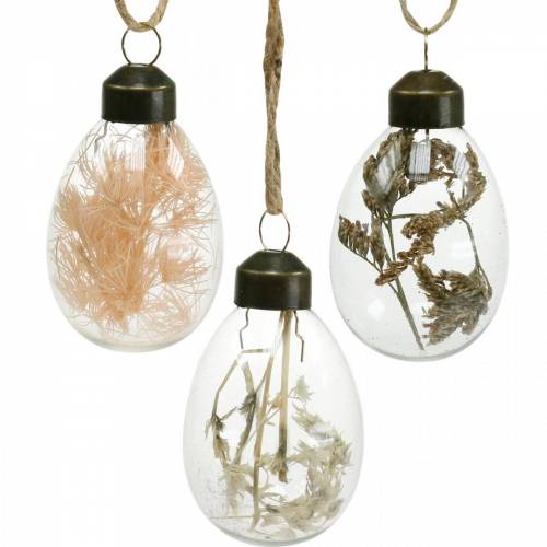 Floristik24 Oeufs de Pâques avec fleurs séchées, œufs décoratifs en verre véritable, décorations florales de Pâques à suspendre, œufs en verre 8 pcs
