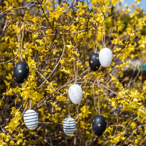 Article Oeufs de Pâques à suspendre Noir Blanc Or Assortis H6cm 12pcs