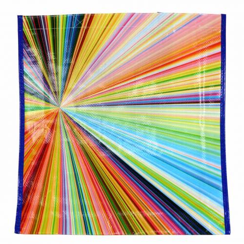 Floristik24 Sac shopping avec anses Mikado plastique 37×10×40cm