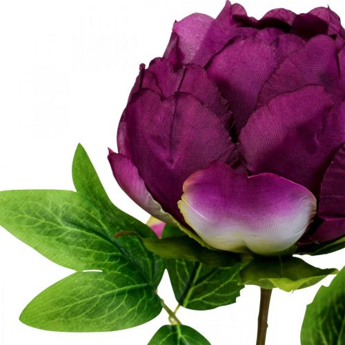 Article Paeonia, fleur de pivoine artificielle Pivoine Rose Ø11cm L45cm
