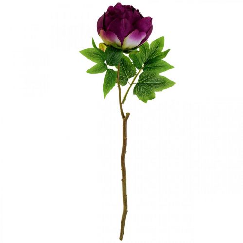 Article Paeonia, fleur de pivoine artificielle Pivoine Rose Ø11cm L45cm