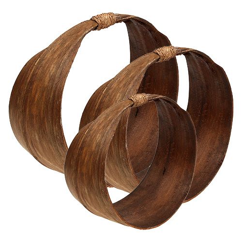 Floristik24 Lot de feuilles de palmier naturelles 21 - 26 cm