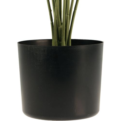 Floristik24 Palmier décoratif éventail palmier plantes artificielles pot vert 80cm