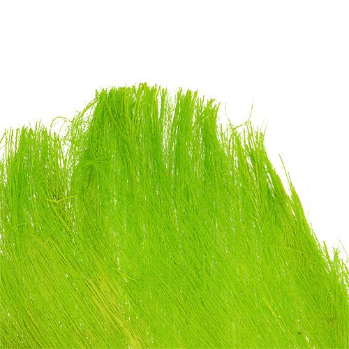 Article Fibre de palmier 400 g vert clair