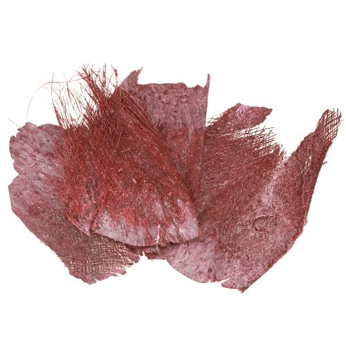 Floristik24 Fibre de palmier pour l&#39;artisanat Bordeaux blanchi 20-40cm 250g