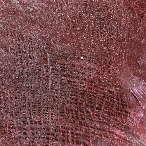 Article Fibre de palmier pour l'artisanat Bordeaux blanchi 20-40cm 250g