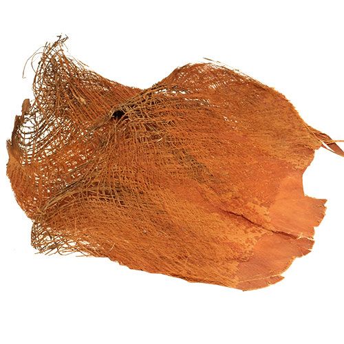 Fibre de palmier naturelle 1kg
