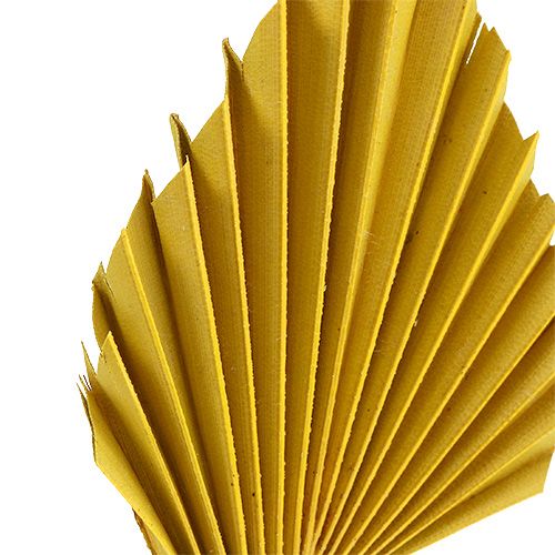 Lance de palmier jaune 65pcs