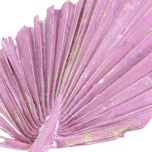 Article Palmspear Feuilles de palmier Fuchsia Berry, blanchi 65pcs